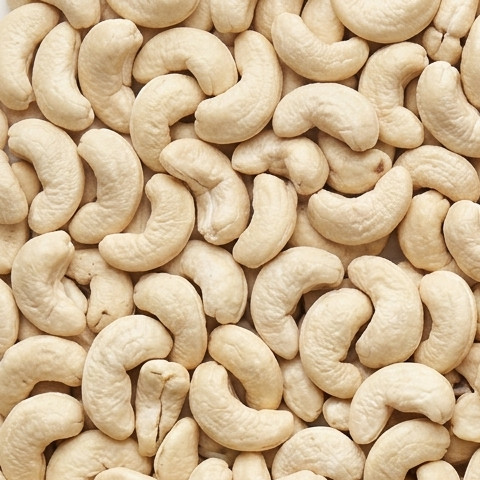 Une image de noix de cajou