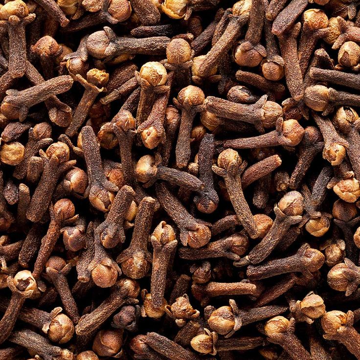 Une image montrant des graines de clove.