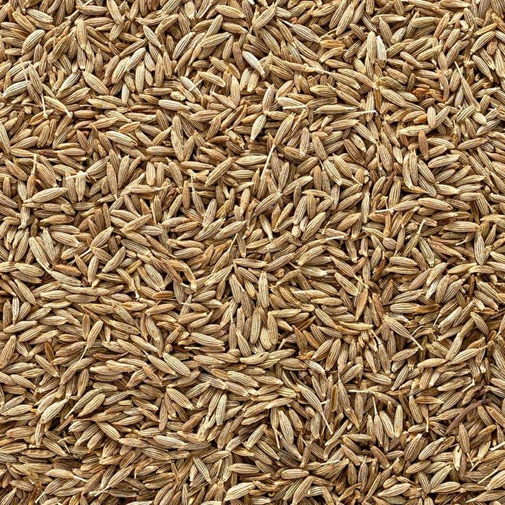 Une image montrant des graines de cumin étalées.